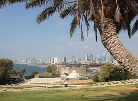 Abrasha Park