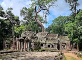 Ta Prohm Temple