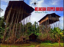 Trek Papua Tours & Travel