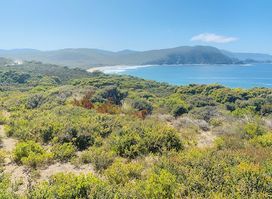 South Bruny National Park