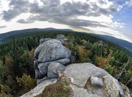 Poacher stones