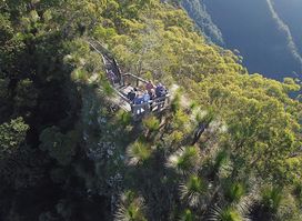 Far Out Tours - Northern NSW