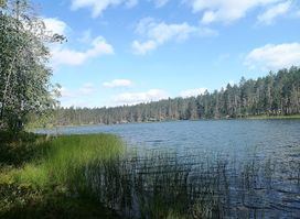 Rokua National Park