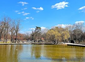 Great Forest Park