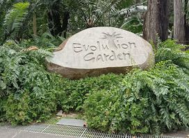 Evolution Garden