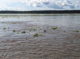 Donde nace el Rio Amazonas