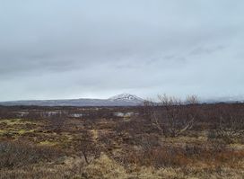 Öfugsnáði