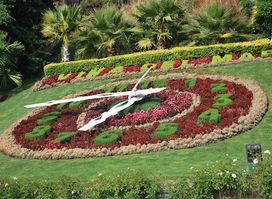 Flower clock