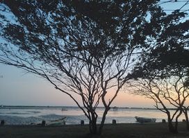 Pannai Lovers View ️
