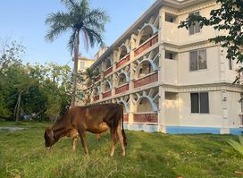 La Cayenne Hôtel