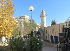 Safed-Home Tourist Information