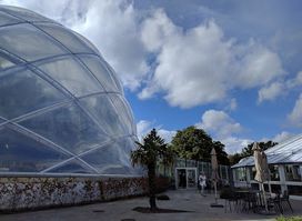 Greenhouses in the Botanical Garden