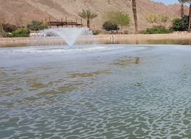 Timna Park