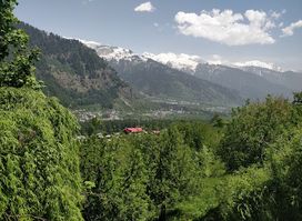 Desi Swaad