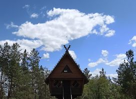 House on a chiken leg