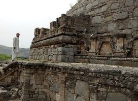 Dharmarajika Stupa And Monastery