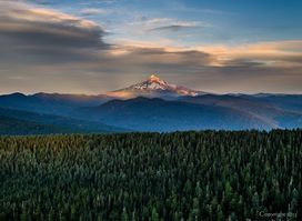 Larch Mountain