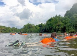 Our Land - A Nature Conservation Effort