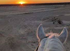 Mezraya ranch