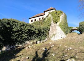 Hmeljnik Castle
