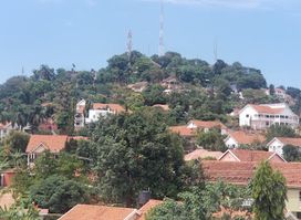 Vegan foods Uganda