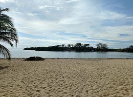 Placencia Municipal Pier & Plaza