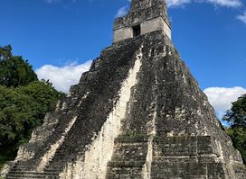 The Great Jaguar Tikal