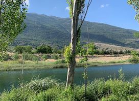 Aammiq Wetland