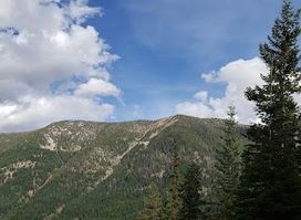 Bowman Francis Trailhead