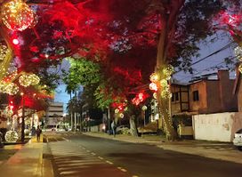 NAVIDAD EN SAN ISIDRO CALLE ADORNADA