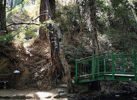 Artemis Trail