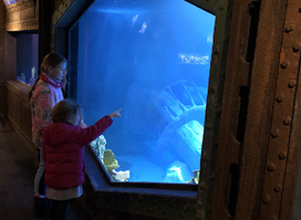 Aquarium d'Amnéville