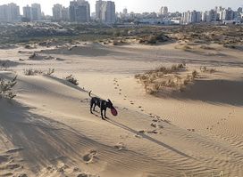 Ashdod Sand Dune