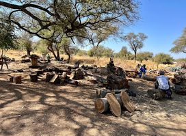 Okahandja Mbangura Woodcarvers Craft Market
