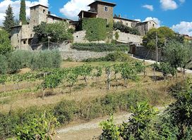 Azienda Agricola Montefioralle Winery