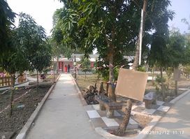 Sundarbans