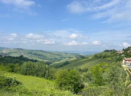 Ente Turismo Langhe Monferrato Roero