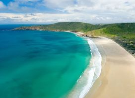 Great Barrier Reef Tours