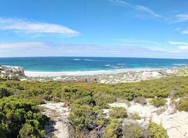 Seal Bay Conservation Park