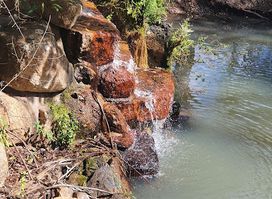 Platypus Park