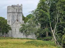 Muckross Abbey