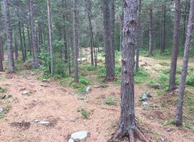 Minnesmerke for krigsfangene i Oppdal