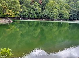 Lake Jūniko