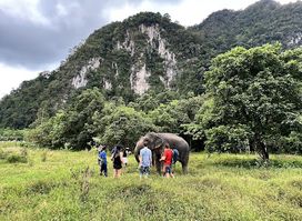 The Elephant Sanctuary Krabi Thailand