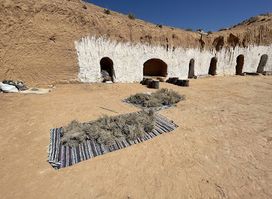 Dar Saliha