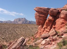 Red Spring: A Desert Oasis