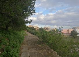 Għar Ħarq Ħamiem