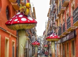 El Carrer dels Bolets