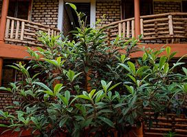 Elite Backpackers Services Masaka