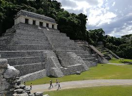 Palenque's Sign